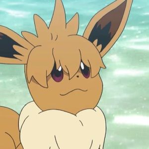 Meet your Posher, Alan